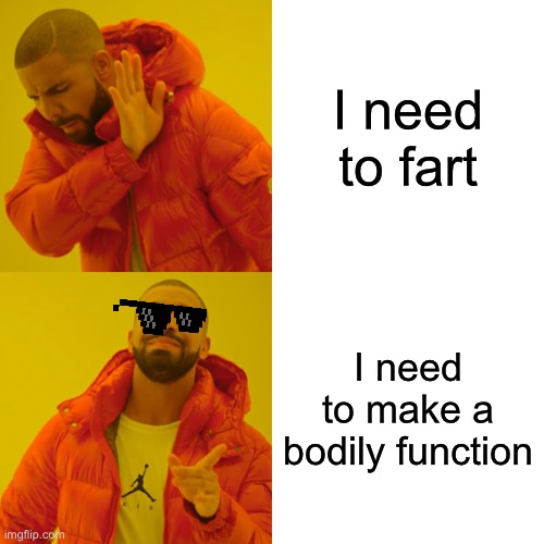 Drake Hotline Bling Meme | I need to fart; I need to make a bodily function | image tagged in memes,drake hotline bling | made w/ Imgflip meme maker