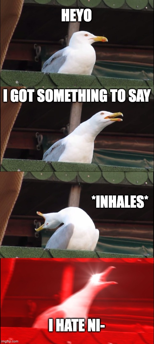 my lawyers advised me not to finish the word | HEYO; I GOT SOMETHING TO SAY; *INHALES*; I HATE NI- | image tagged in memes,inhaling seagull | made w/ Imgflip meme maker