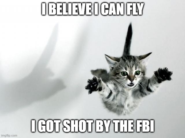 I believe I can fly I got shot by the FBI | I BELIEVE I CAN FLY; I GOT SHOT BY THE FBI | image tagged in i believe i can fly | made w/ Imgflip meme maker
