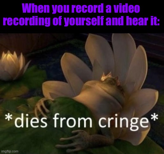 Dies from cringe | When you record a video recording of yourself and hear it: | image tagged in dies from cringe | made w/ Imgflip meme maker