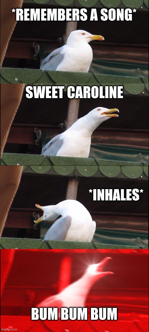 Inhaling Seagull Meme | *REMEMBERS A SONG*; SWEET CAROLINE; *INHALES*; BUM BUM BUM | image tagged in memes,inhaling seagull | made w/ Imgflip meme maker