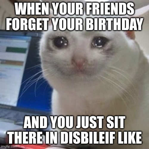 Crying cat | WHEN YOUR FRIENDS FORGET YOUR BIRTHDAY; AND YOU JUST SIT THERE IN DISBILEIF LIKE | image tagged in crying cat | made w/ Imgflip meme maker