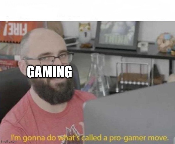 Pro Gamer move | GAMING | image tagged in pro gamer move | made w/ Imgflip meme maker