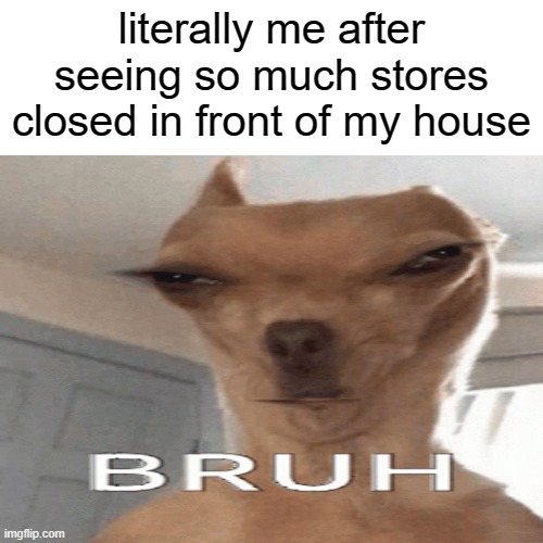 bruhhhh | literally me after seeing so much stores closed in front of my house | image tagged in memes,funny | made w/ Imgflip meme maker