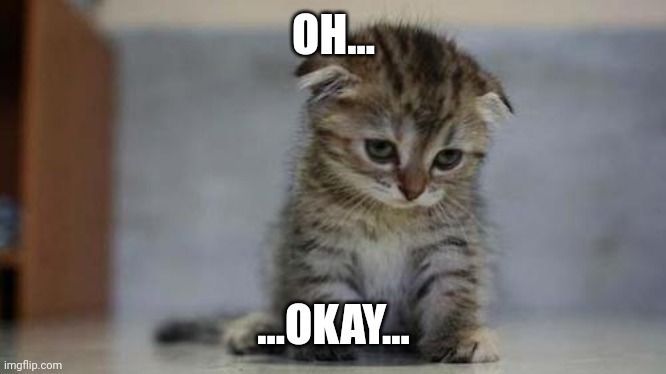 Sad kitten | OH... ...OKAY... | image tagged in sad kitten | made w/ Imgflip meme maker