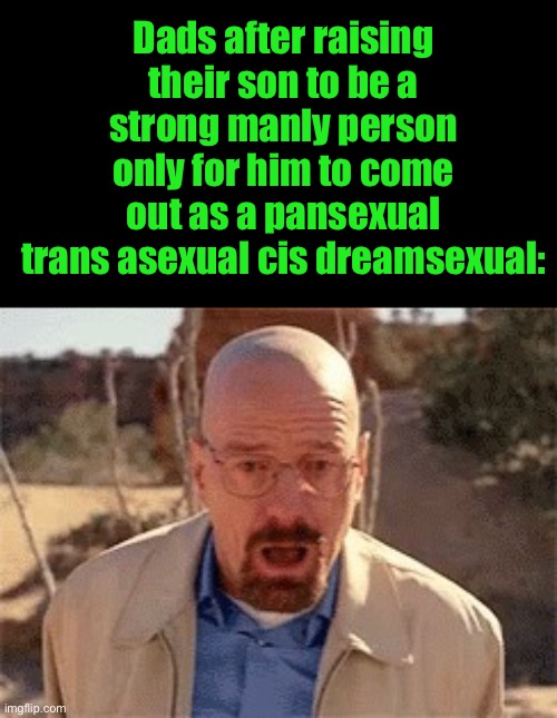 Walter White | Dads after raising their son to be a strong manly person only for him to come out as a pansexual trans asexual cis dreamsexual: | image tagged in walter white | made w/ Imgflip meme maker