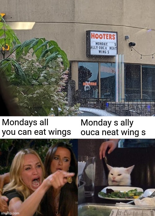 Mondays all you can eat wings | Mondays all you can eat wings; Monday s ally ouca neat wing s | image tagged in memes,woman yelling at cat,hooters,you had one job,restaurant,wings | made w/ Imgflip meme maker