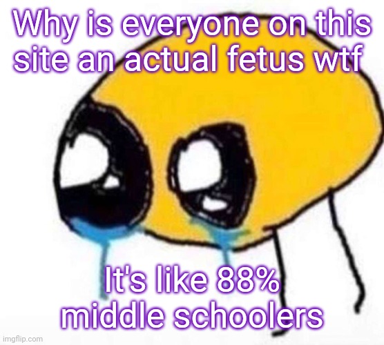 Cursed Crying Emoji | Why is everyone on this site an actual fetus wtf; It's like 88% middle schoolers | image tagged in cursed crying emoji | made w/ Imgflip meme maker