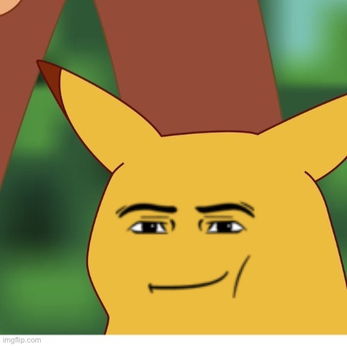 Surprised Pikachu Blank Face | image tagged in surprised pikachu blank face | made w/ Imgflip meme maker