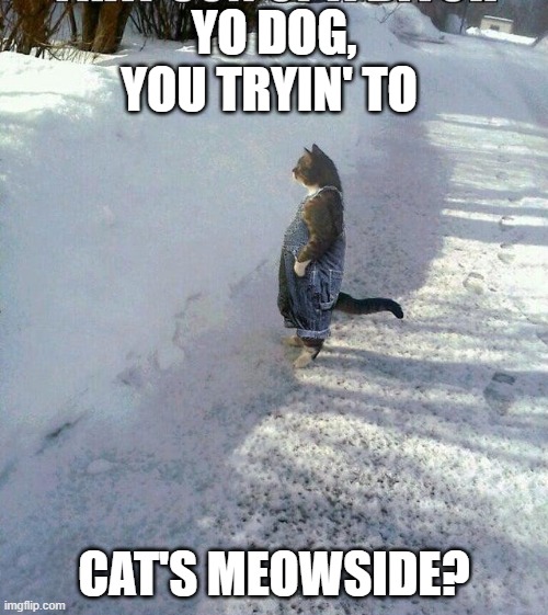 Cats meowside | YO DOG,
YOU TRYIN' TO; CAT'S MEOWSIDE? | image tagged in cat overalls,cat,catch me outside how bout dat | made w/ Imgflip meme maker