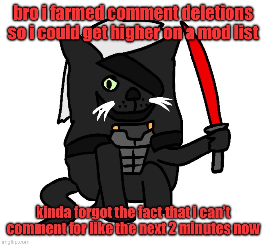 raidencat | bro i farmed comment deletions so i could get higher on a mod list; kinda forgot the fact that i can’t comment for like the next 2 minutes now | image tagged in raidencat | made w/ Imgflip meme maker