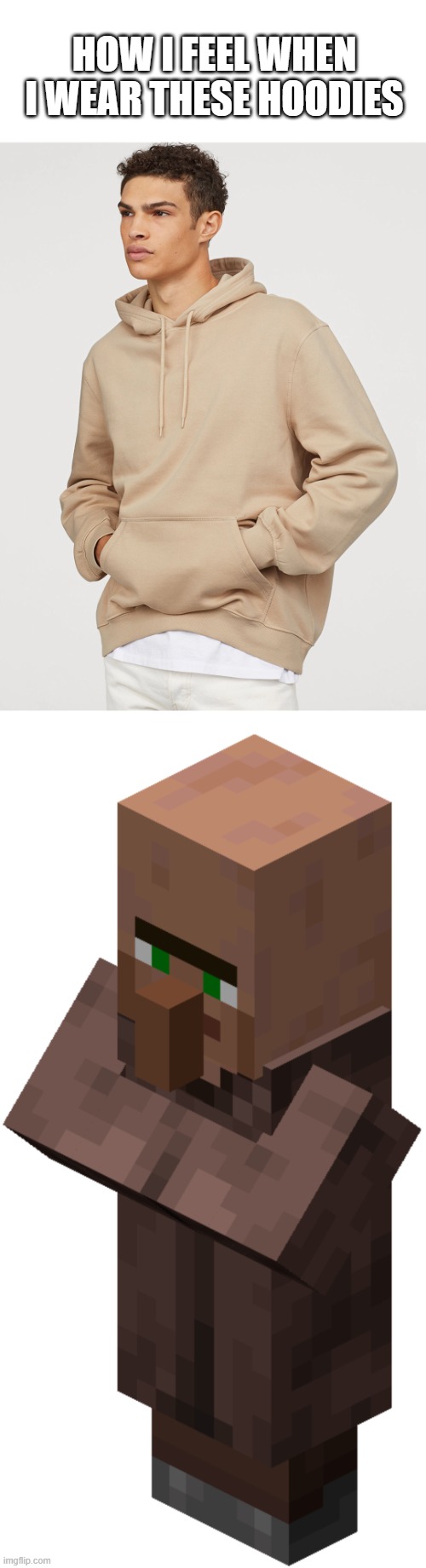 It's so comfy tho | HOW I FEEL WHEN I WEAR THESE HOODIES | image tagged in minecraft villager,minecraft,relatable,comfort | made w/ Imgflip meme maker