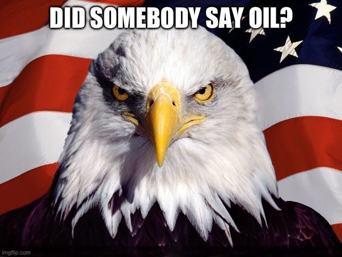 Freedom Eagle | DID SOMEBODY SAY OIL? | image tagged in freedom eagle | made w/ Imgflip meme maker