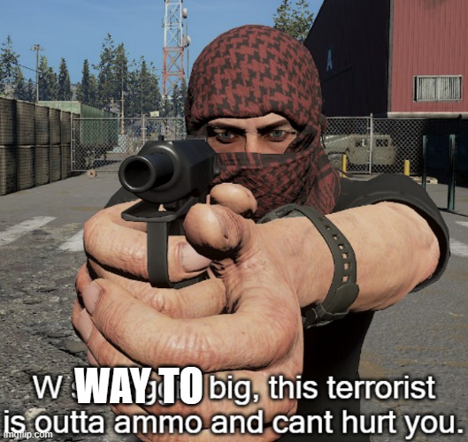 W so friggin big, this terrorist is outta ammo and cant hurt you | WAY TO | image tagged in w so friggin big this terrorist is outta ammo and cant hurt you | made w/ Imgflip meme maker