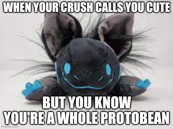 Protobean | WHEN YOUR CRUSH CALLS YOU CUTE; BUT YOU KNOW YOU'RE A WHOLE PROTOBEAN | image tagged in protobean | made w/ Imgflip meme maker