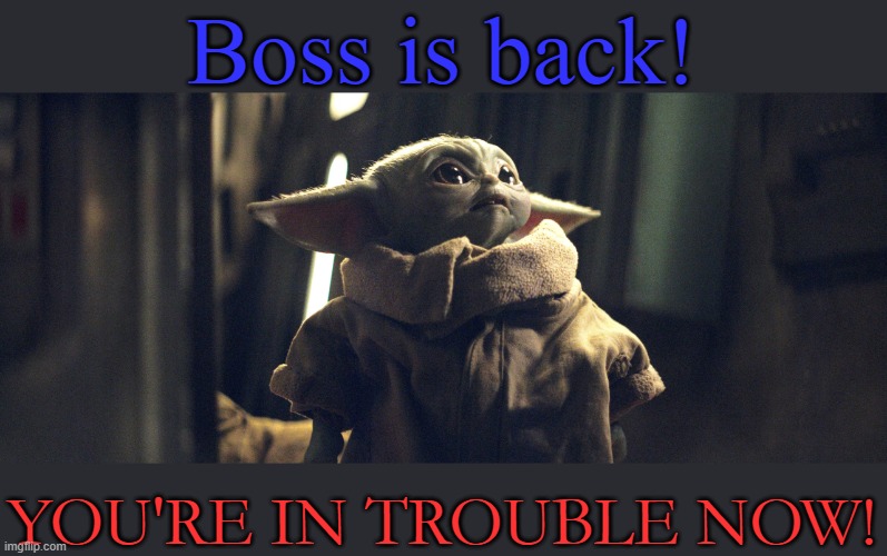 grogu | Boss is back! YOU'RE IN TROUBLE NOW! | image tagged in funny memes | made w/ Imgflip meme maker