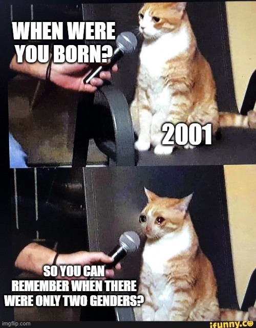 so you must be good at it | WHEN WERE YOU BORN? 2001; SO YOU CAN REMEMBER WHEN THERE WERE ONLY TWO GENDERS? | image tagged in so you must be good at it | made w/ Imgflip meme maker