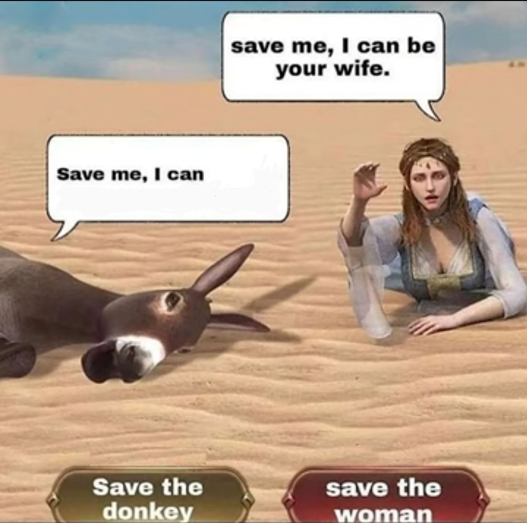 High Quality A donkey and a girl Blank Meme Template