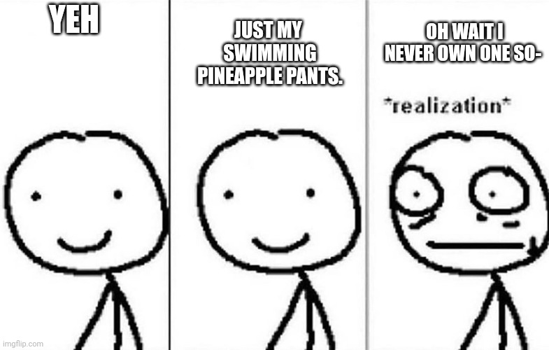Realization | YEH JUST MY  SWIMMING PINEAPPLE PANTS. OH WAIT I NEVER OWN ONE SO- | image tagged in realization | made w/ Imgflip meme maker