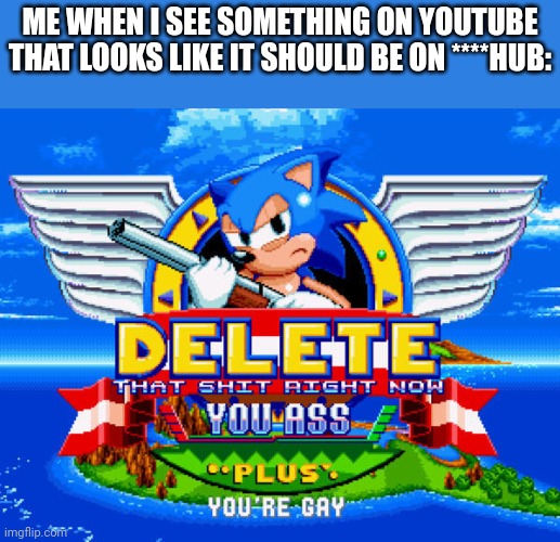 Delete That Shit RIGHT NOW sonic mania | ME WHEN I SEE SOMETHING ON YOUTUBE THAT LOOKS LIKE IT SHOULD BE ON ****HUB: | image tagged in delete that shit right now sonic mania,youtube shorts | made w/ Imgflip meme maker