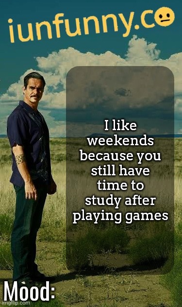 iUnFunny's Lalo Salamanca Template | I like weekends because you still have time to study after playing games | image tagged in iunfunny's lalo salamanca template | made w/ Imgflip meme maker