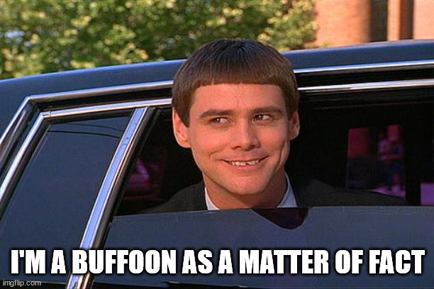 cool and stupid | I'M A BUFFOON AS A MATTER OF FACT | image tagged in cool and stupid | made w/ Imgflip meme maker