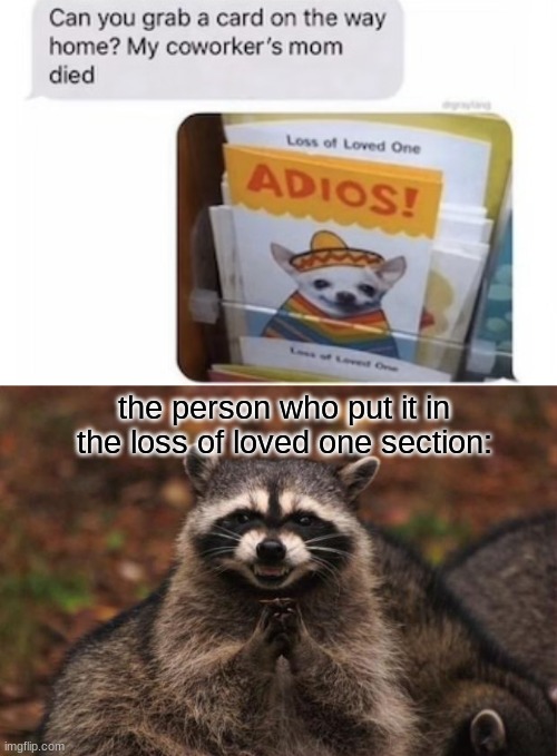 I've been laughing for 10 minutes at this | the person who put it in the loss of loved one section: | image tagged in evil genius racoon,memes,funny,dark humor | made w/ Imgflip meme maker
