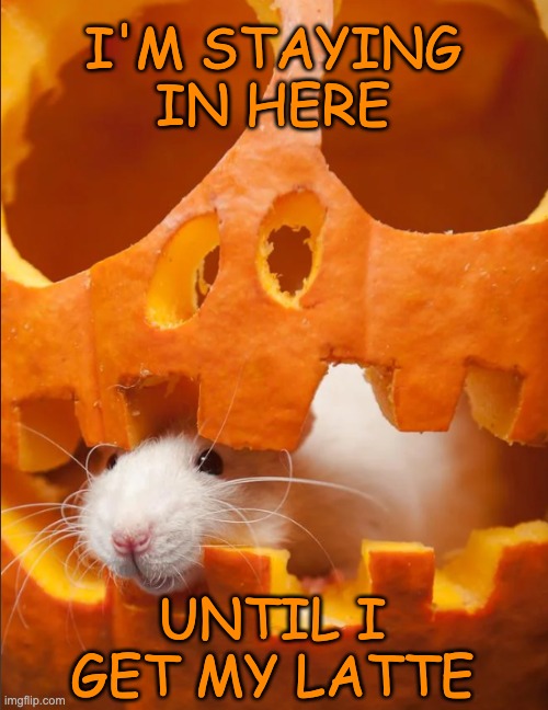 Will strike for pumpkin spice | I'M STAYING
IN HERE; UNTIL I GET MY LATTE | image tagged in pumpkin rat,fall,coffee,treat,pumpkin spice | made w/ Imgflip meme maker