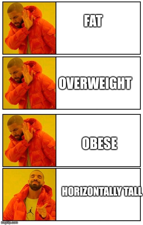 Drake 4 panel | FAT; OVERWEIGHT; OBESE; HORIZONTALLY TALL | image tagged in drake 4 panel yes no approval disapprove | made w/ Imgflip meme maker