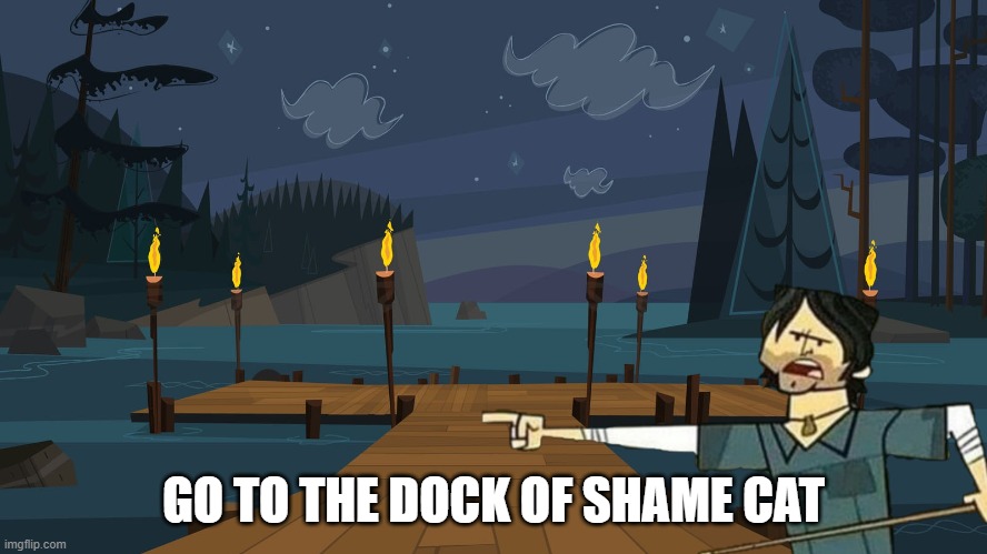 The Dock Of Shame | GO TO THE DOCK OF SHAME CAT | image tagged in the dock of shame | made w/ Imgflip meme maker