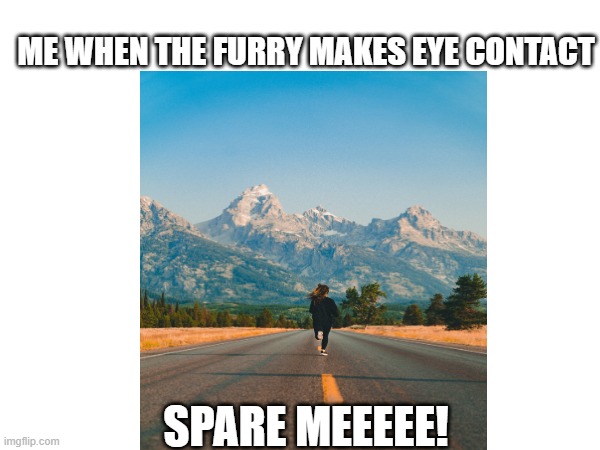 furry | ME WHEN THE FURRY MAKES EYE CONTACT; SPARE MEEEEE! | image tagged in funny,furry,running | made w/ Imgflip meme maker