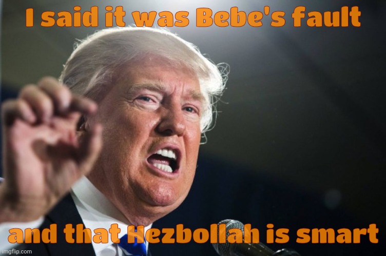 donald trump | I said it was Bebe's fault; and that Hezbollah is smart | image tagged in donald trump | made w/ Imgflip meme maker