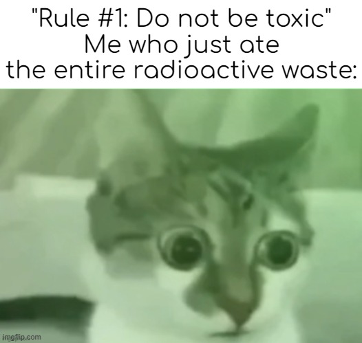 Oops | "Rule #1: Do not be toxic"
Me who just ate the entire radioactive waste: | image tagged in bombastic side eye cat,funny | made w/ Imgflip meme maker