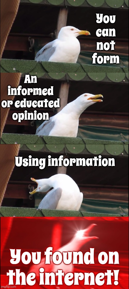 It's Gotta Be True Because I Saw A Internet Report On Fox "News" | You can not form; An informed or educated opinion; Using information; You found on the internet! | image tagged in memes,inhaling seagull,fox news lies,that's how propaganda works,propaganda,misinformation | made w/ Imgflip meme maker