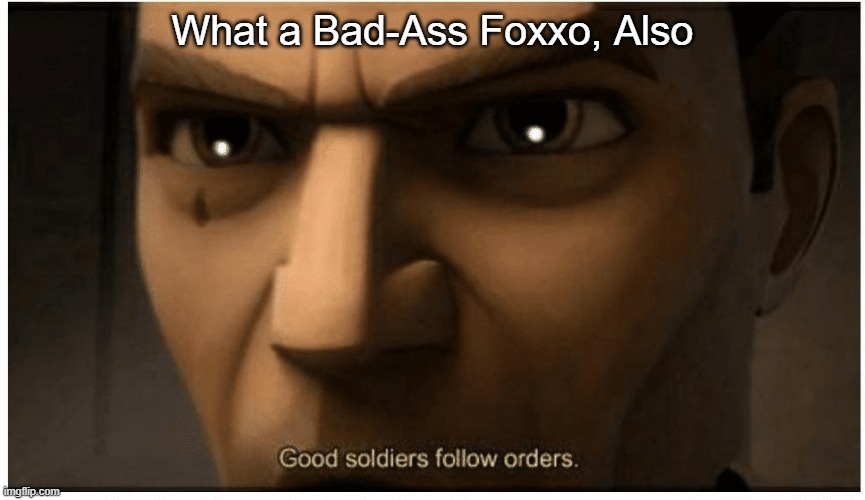 Good soldiers follow orders | What a Bad-Ass Foxxo, Also | image tagged in good soldiers follow orders | made w/ Imgflip meme maker