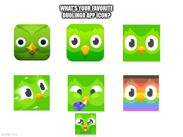 WHAT'S YOUR FAVORITE DUOLINGO APP ICON? | image tagged in duolingo | made w/ Imgflip meme maker
