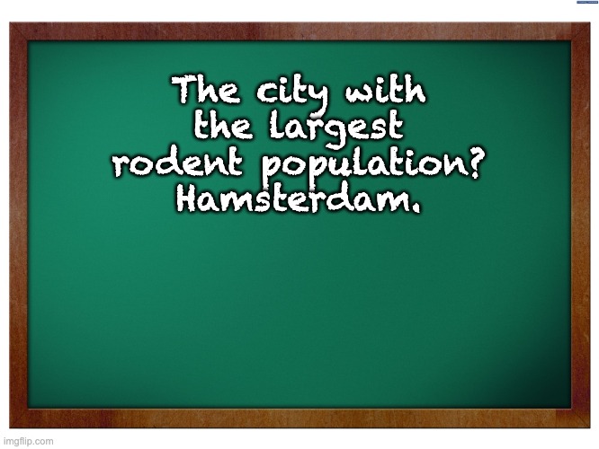 Rodents | The city with the largest rodent population? Hamsterdam. | image tagged in green blank blackboard | made w/ Imgflip meme maker