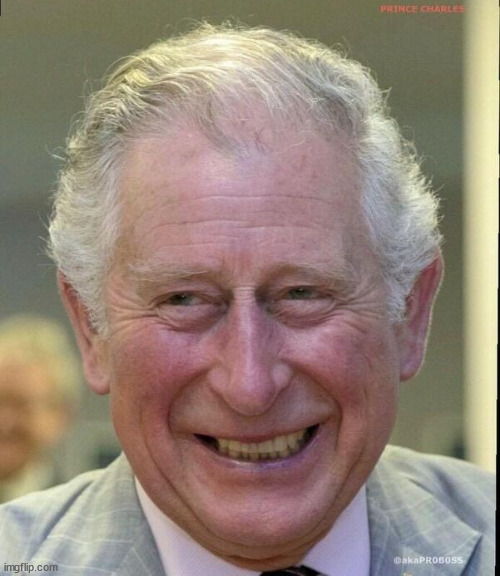 King Charles smiling | image tagged in king charles smiling | made w/ Imgflip meme maker