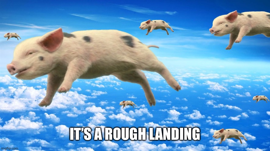 When Pigs Fly | IT’S A ROUGH LANDING | image tagged in when pigs fly | made w/ Imgflip meme maker