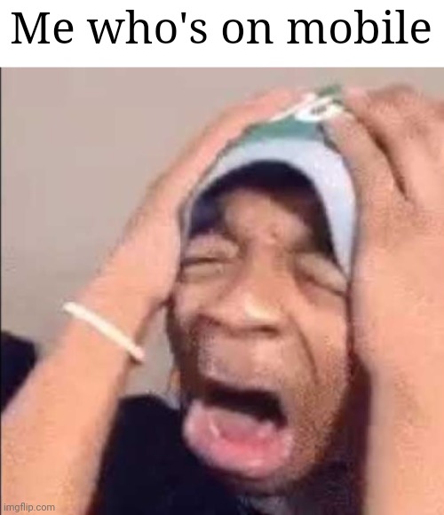 Flightreacts crying | Me who's on mobile | image tagged in flightreacts crying | made w/ Imgflip meme maker