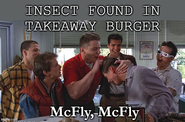 McFly serves dodgy burger | INSECT FOUND IN
TAKEAWAY BURGER; McFly, McFly | image tagged in biff tannen | made w/ Imgflip meme maker