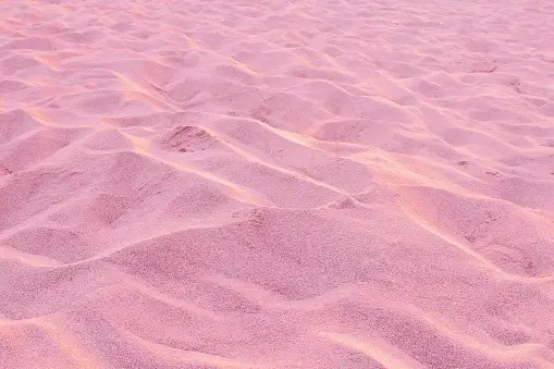 pink sand Blank Meme Template