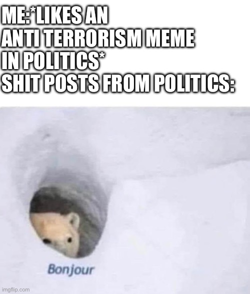 Bonjour | ME:*LIKES AN ANTI TERRORISM MEME IN POLITICS* 
SHIT POSTS FROM POLITICS: | image tagged in bonjour | made w/ Imgflip meme maker