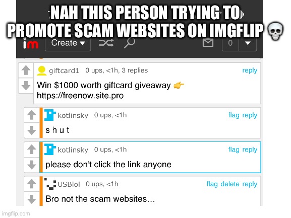 Bruh | NAH THIS PERSON TRYING TO PROMOTE SCAM WEBSITES ON IMGFLIP 💀 | image tagged in blank white template | made w/ Imgflip meme maker