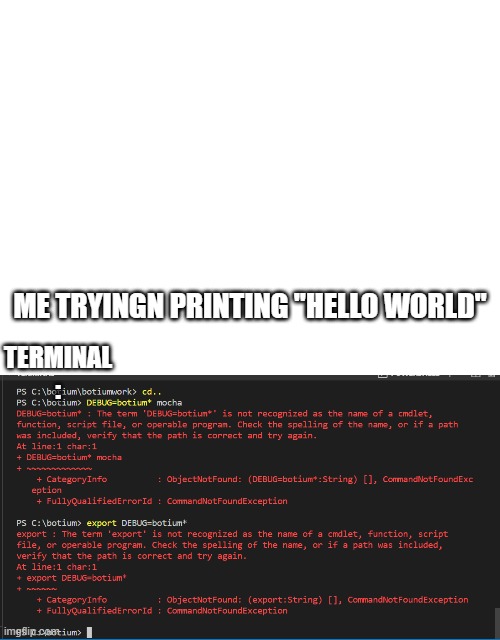 coder | ME TRYINGN PRINTING "HELLO WORLD"; TERMINAL : | image tagged in coding | made w/ Imgflip meme maker
