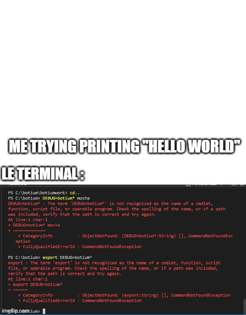 coding | ME TRYING PRINTING "HELLO WORLD"; LE TERMINAL : | image tagged in coding | made w/ Imgflip meme maker