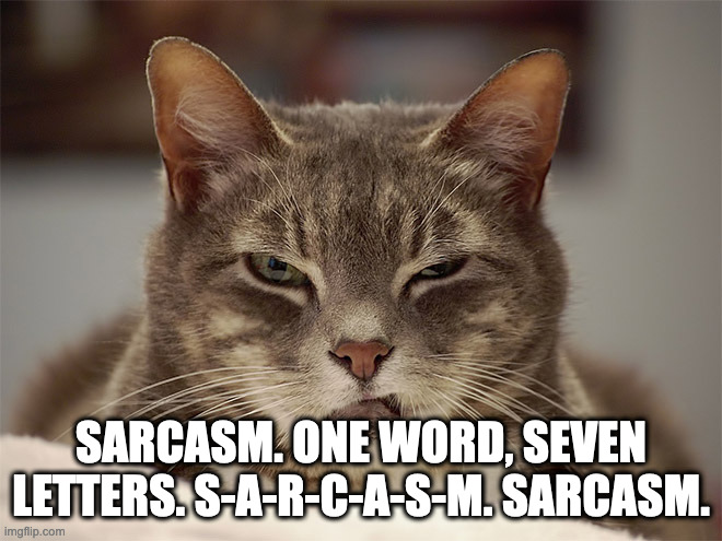 Sarcasm Cat | SARCASM. ONE WORD, SEVEN LETTERS. S-A-R-C-A-S-M. SARCASM. | image tagged in sarcasm cat | made w/ Imgflip meme maker