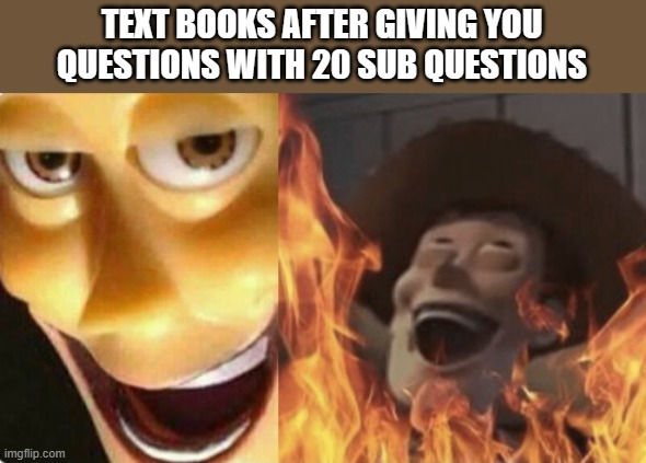I HATE THIS | TEXT BOOKS AFTER GIVING YOU QUESTIONS WITH 20 SUB QUESTIONS | image tagged in satanic woody no spacing,woody,school,question | made w/ Imgflip meme maker