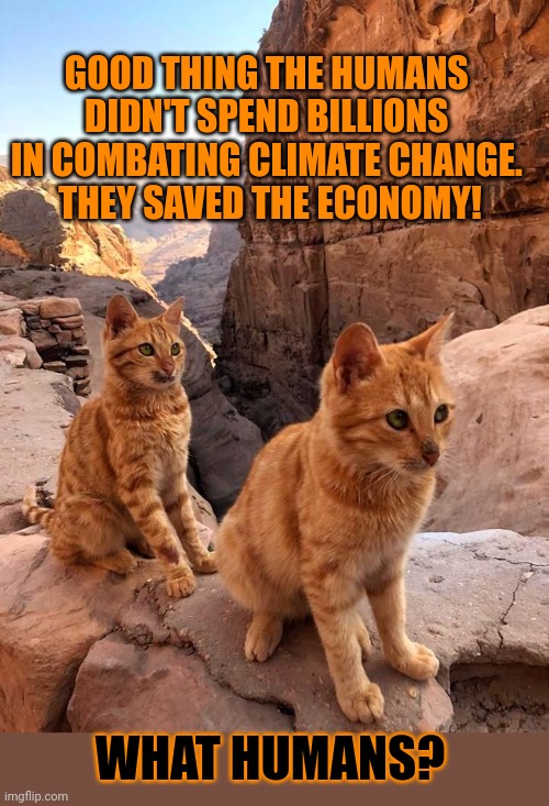 This #lolcat wonders if humans should combat #ClimateChange | GOOD THING THE HUMANS 
DIDN'T SPEND BILLIONS 
IN COMBATING CLIMATE CHANGE. 
THEY SAVED THE ECONOMY! WHAT HUMANS? | image tagged in climate change,economy,stupid people,lolcat,think about it | made w/ Imgflip meme maker