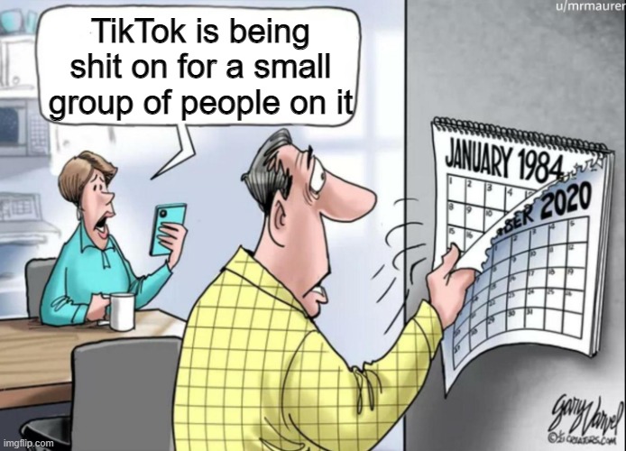 1984 Calendar | TikTok is being shit on for a small group of people on it | image tagged in 1984 calendar | made w/ Imgflip meme maker